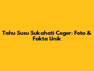 Tahu Susu Sukahati Ceger: Foto & Fakta Unik